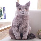 Beloved Kitty 3D Cushion
